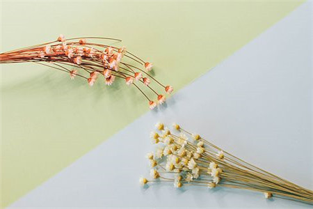 陜西自考本科與函授本科的概念區別?