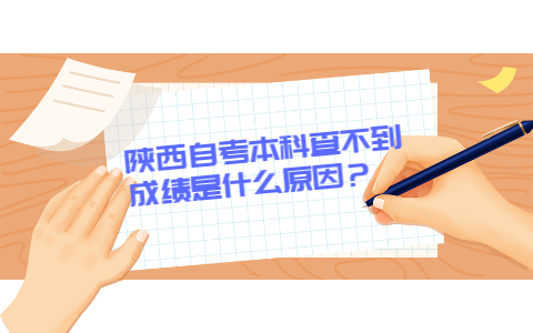 陜西自考本科查不到成績是什么原因