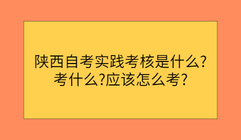 陜西自考實踐考核