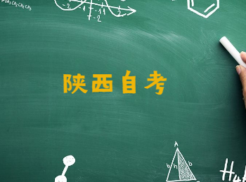 陜西自考成績