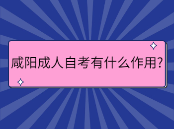 咸陽成人自考