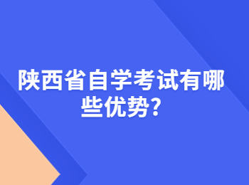 陜西省自學(xué)考試 陜西省自學(xué)考試網(wǎng)
