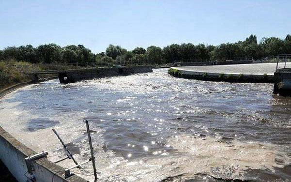 污水污泥 污水污泥